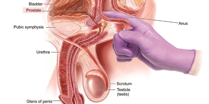 Bullseye reccomend howto prostate massage