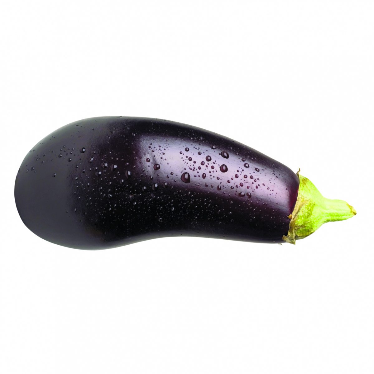 Baller reccomend chinese wife venetian florida eggplant