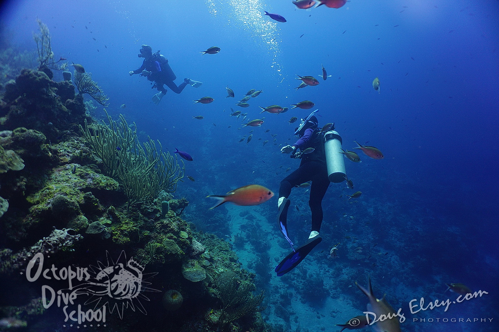 Girl freediving shipwreck