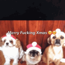 Merry fucking christmas holidays from