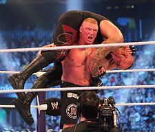 HB reccomend brock lesnar mistress