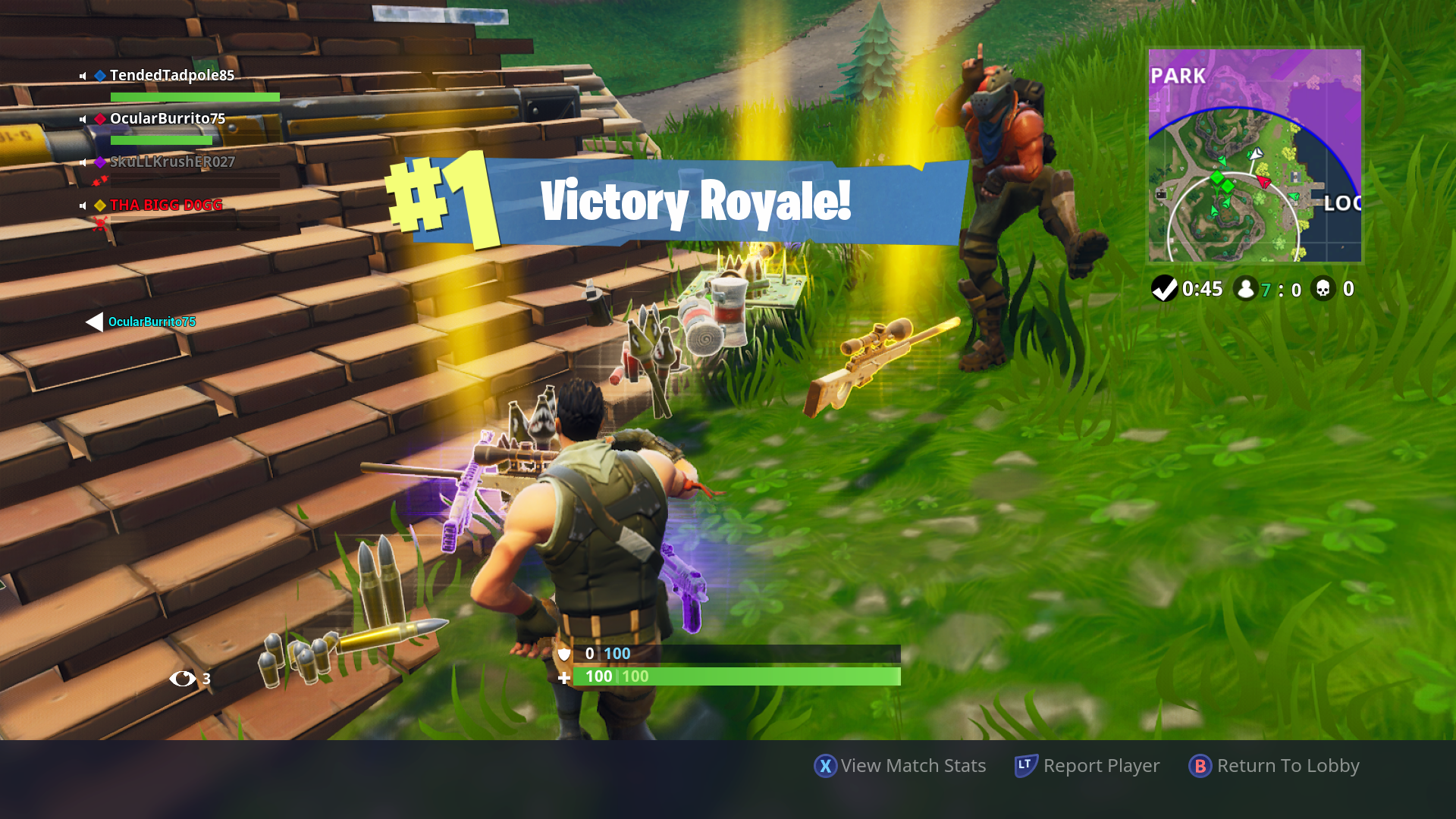 Squeaker reccomend from fortnite gets victory royale cock