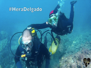 Girl freediving shipwreck