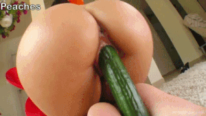 Firemouth recomended cucumber huge hard anal girl masturbate