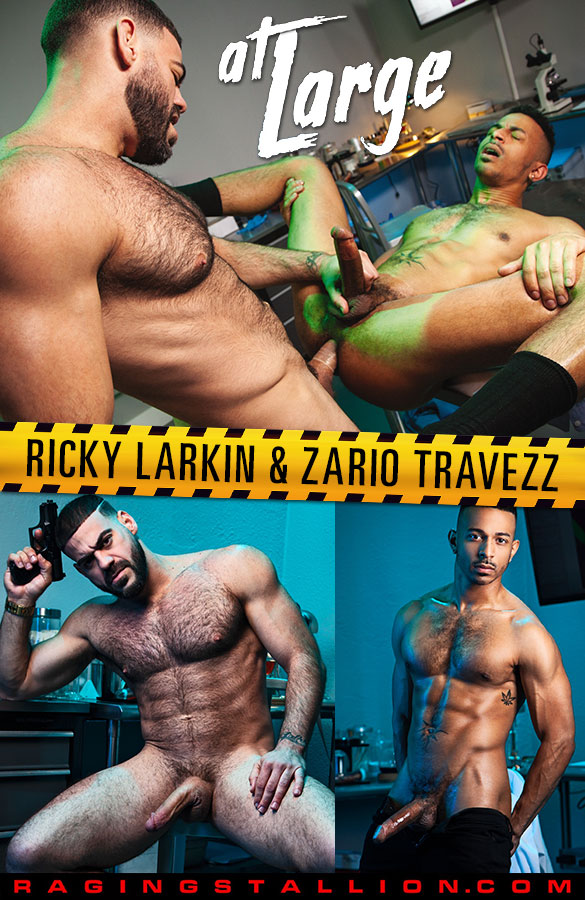 best of Zario raging travezz stallion loaded give