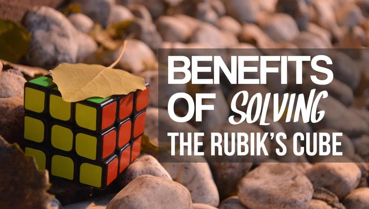 Dingo reccomend solving rubiks cube while autistic friend