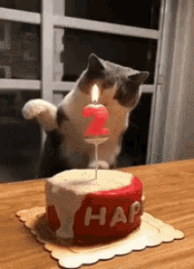 Husky recommendet happy party treats birthday
